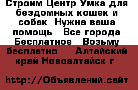 Строим Центр Умка для бездомных кошек и собак! Нужна ваша помощь - Все города Бесплатное » Возьму бесплатно   . Алтайский край,Новоалтайск г.